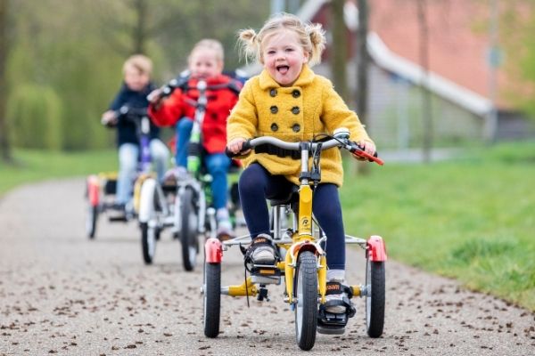 tips for buying a Van Raam childrens tricycle search information