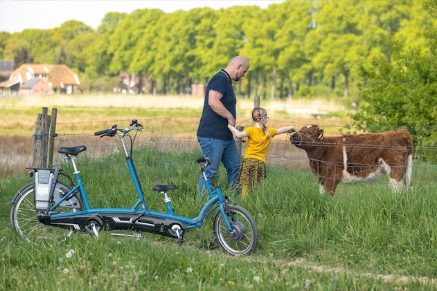 Elektrische kind ouder tandem Kivo Van Raam Van Raam