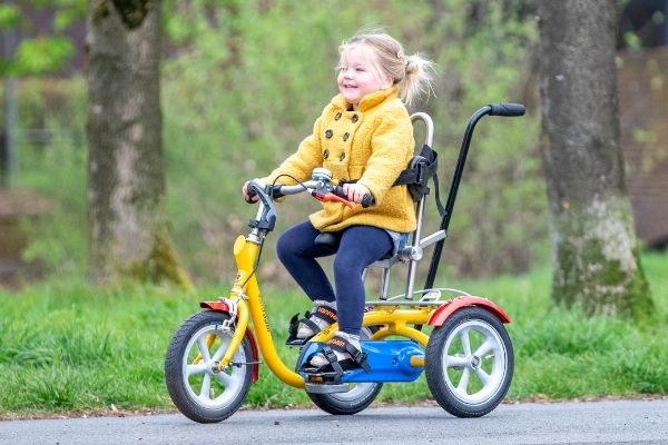 tips for buying a Van Raam childrens tricycle make a configuration