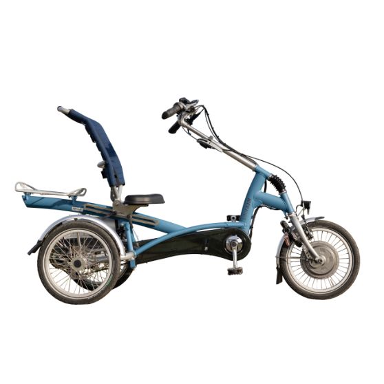 Dreirad Kind Easy Rider Small Van Raam