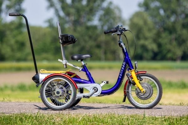Conseils pour l'achat d'un tricycle pour enfants Van Raam Mini