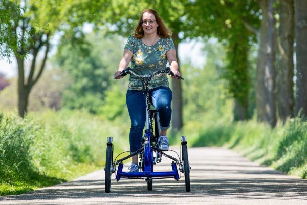 Van Raam trike for disabled adults Viktoria trike