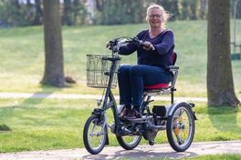 Electric mobility scooter bike