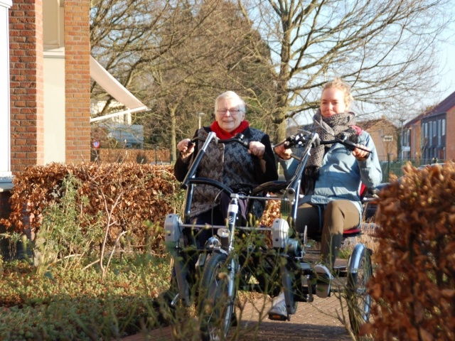 electric three-wheel tandem 
