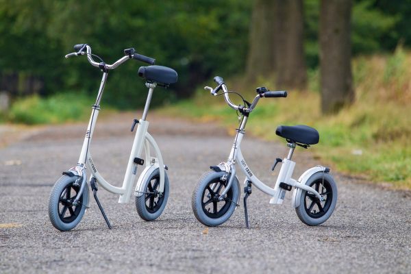 City Laufhilfe mit verkleinertem Rahmen von Van Raam