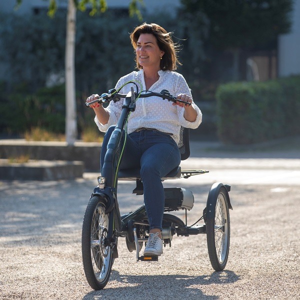 Tricycles for adults Van Raam