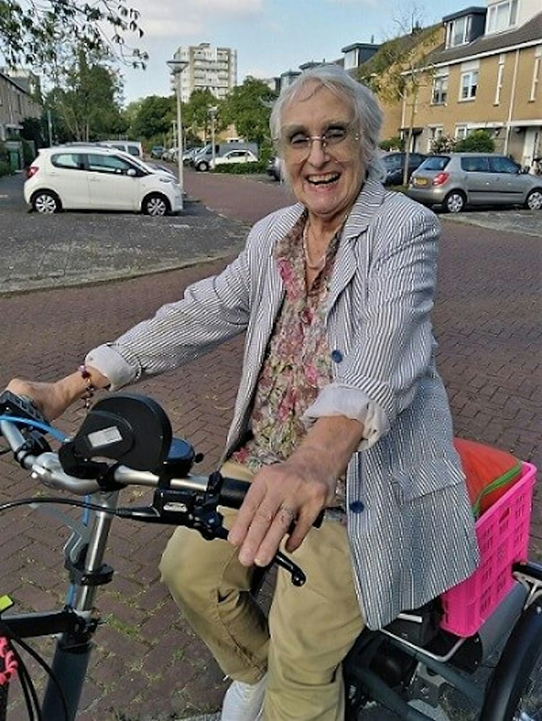 Adult tricycle bike Van Raam Maxi Petronella Beerman