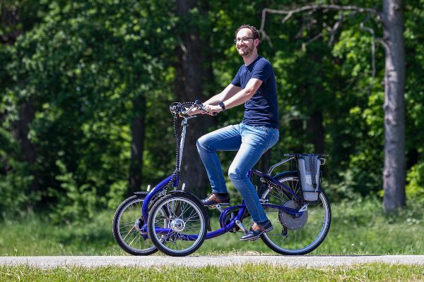 orthopedic bike for adults van raam viktor