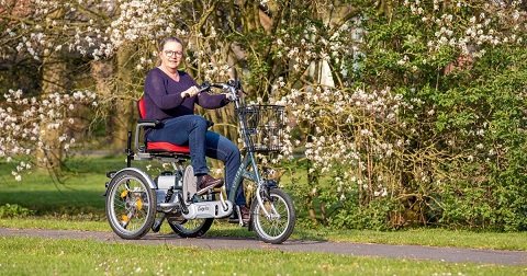 snack blive irriteret Broom Easy Go 3 wheel scooter for elderly | Van Raam