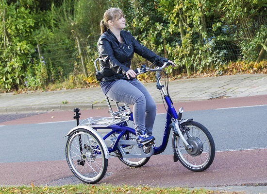 compact tricycle for adults