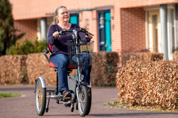Vorteile Easy Go Elektro-Dreirad Roller für Senioren