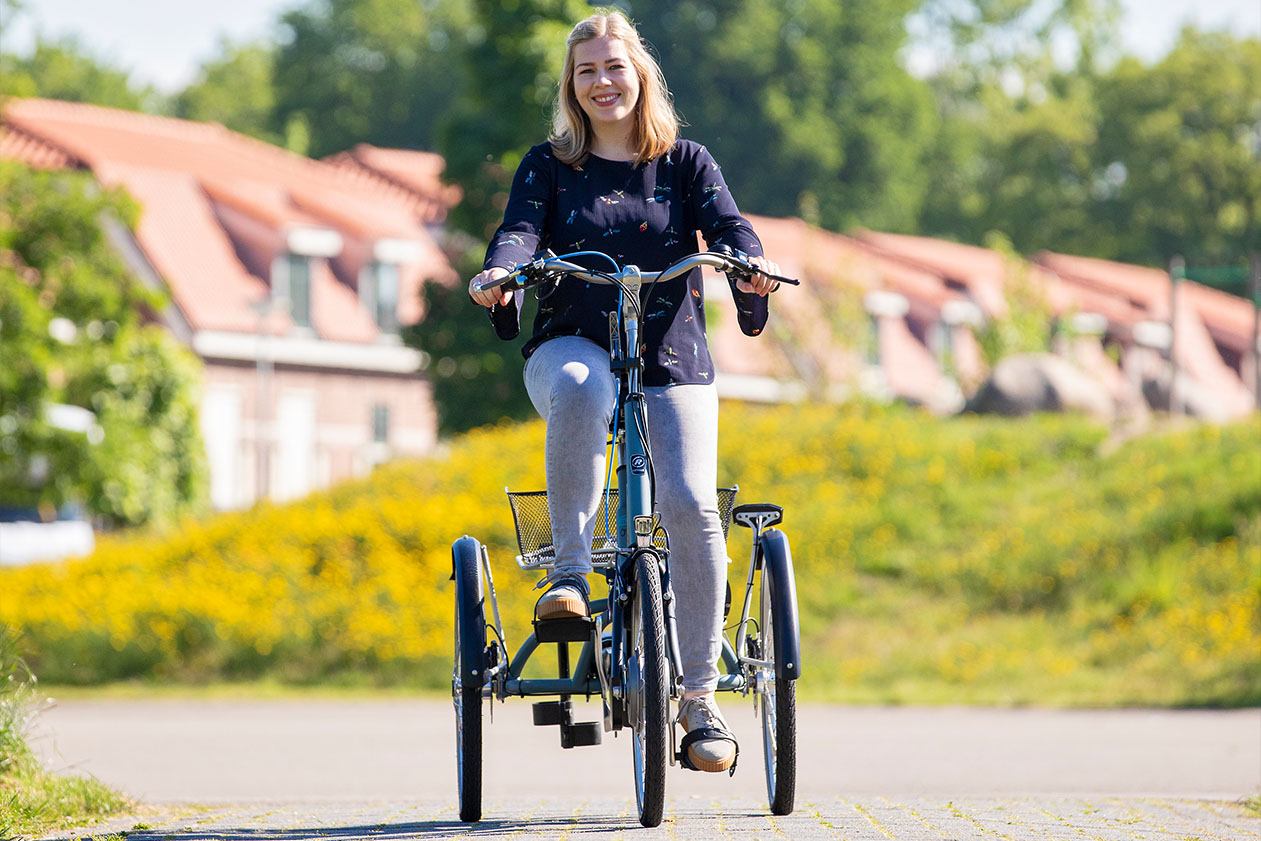 Maxi tricycle pour adultes van Raam