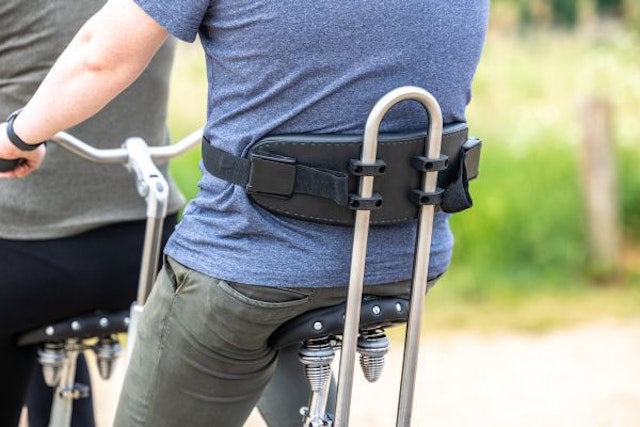 Backrest support