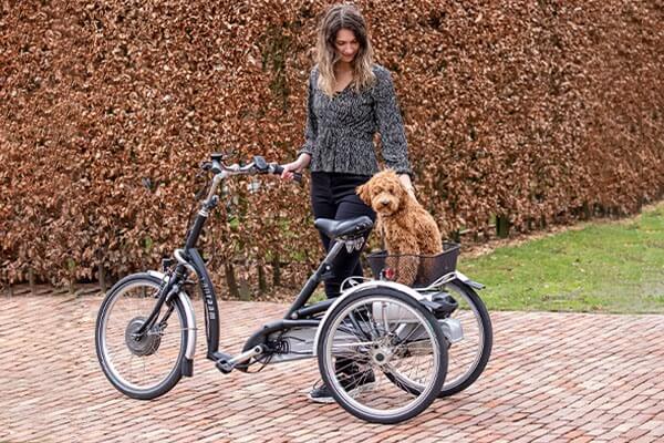 Tricycle à enfourchement plus bas pour adultes    