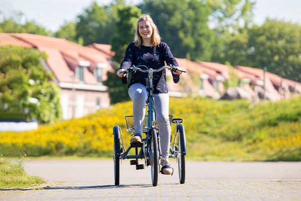 Derbevilletest Filosofisch cruise Driewieler volwassenen | Van Raam | Driewielfietsen | Van Raam