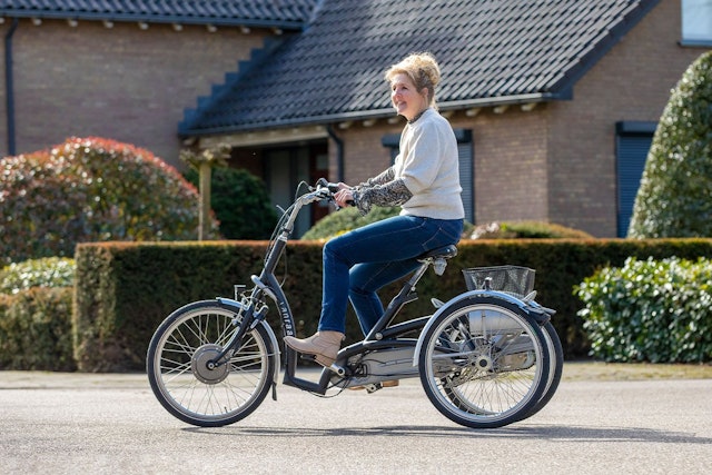 Maxi Comfort tiefeinsteiger Fahrrad mit drei Rädern für Personen mit Behinderungen