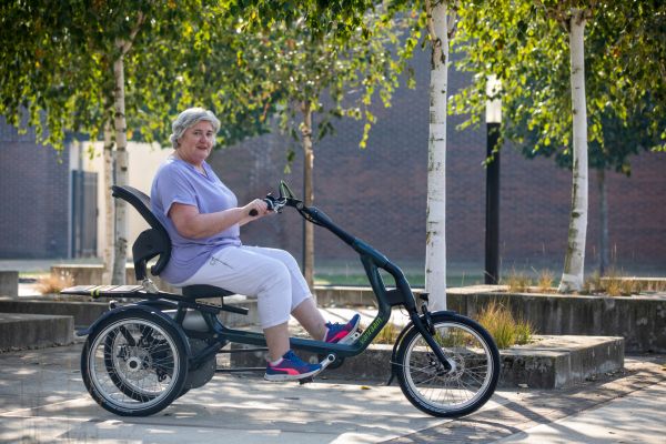seniors electric tricycle rider easy raam van