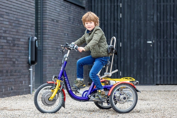 Cycling with back pain Van Raam tricycles for children