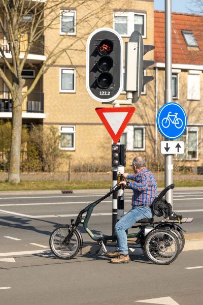 Easy Rider elektrisches Dreirad Van Raam John Boegman