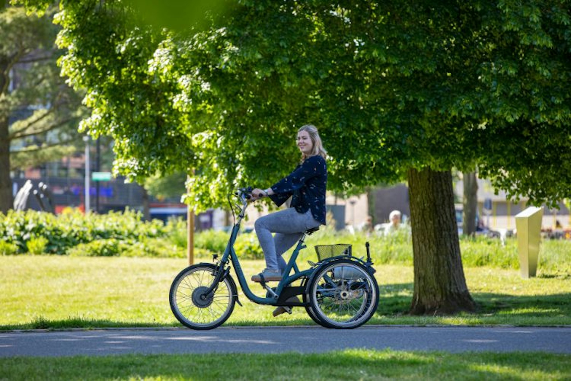 Maxi revalidatie fiets van Van Raam