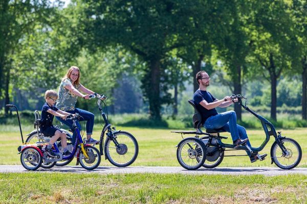 van raam tricycles that cannot fall over