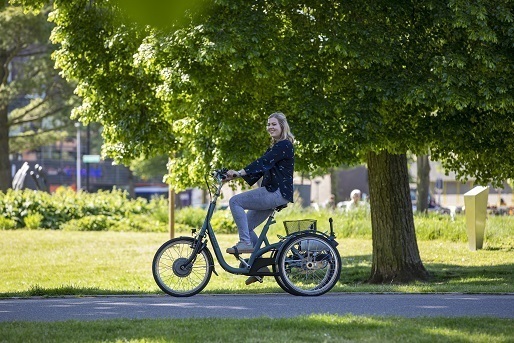Van Raam Maxi alternative 4 wheel bicycle for adults