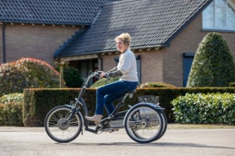 Maxi Comfort Dutch low entry Bike Van Raam
