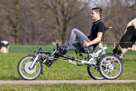 Easy Sport tricycle couché pour adultes Van Raam Easy Rider famille