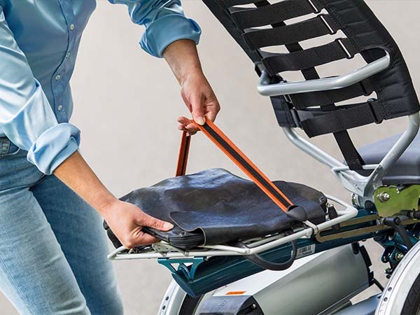Easy Rider adaptive tricycle from Van Raam straps