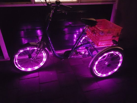 User experience tricycle for adults Maxi - Dominique van Steijn