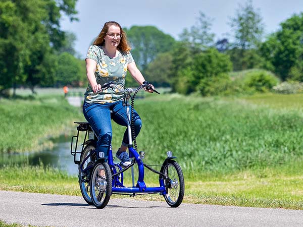 Gears on adapted Van Raam bicycles Viktoria tricycle
