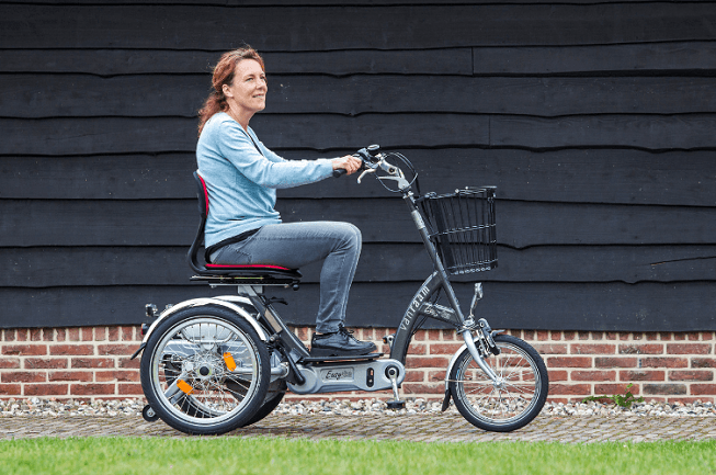 Elektro Mobilitäts Dreirad Easy Go