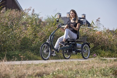 benefits of the van raam easy rider tricycle pedal assist