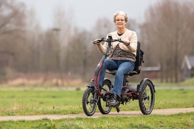 easy rider compact tricycle  a la rehacare