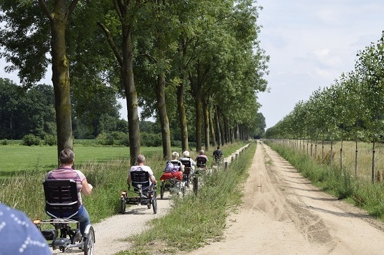 Driewielers voor volwassenen