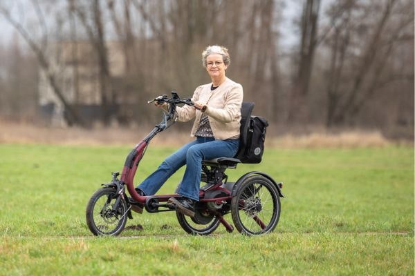 Van Raam Easy Rider Compact tricycle l'affichage smart Silent