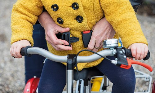 5 einzigartige Fahreigenschaften des Husky-Kinderdreirads Van Raam Gurte