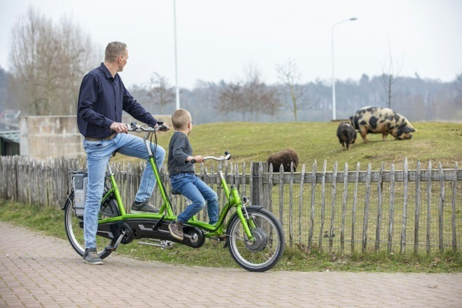 Two person bike Van Raam Kivo tandem