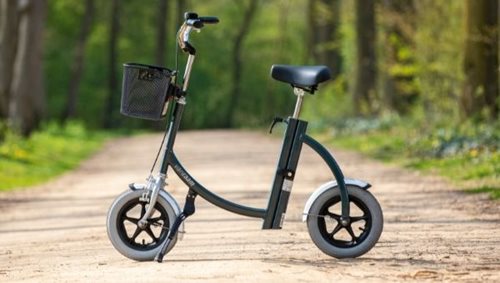 Alternative Alinker walking bike The Van Raam City walking bike