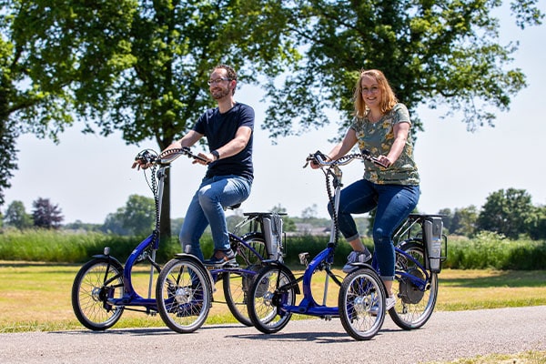 Tricycle electrique adolescents et adultes Van Raam Viktoria 