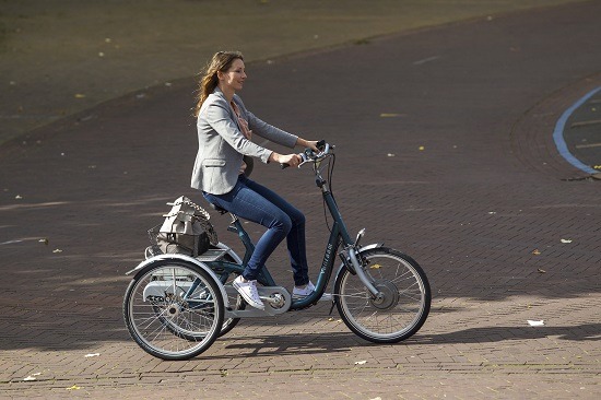 bikes for adults with balance problems