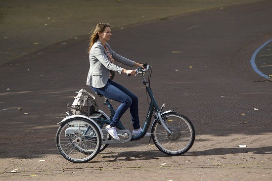 bike for adults with balance issues