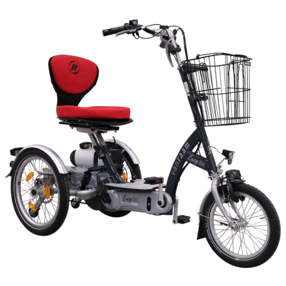 elektrische Scooterfahrrad Easy Go Van Raam