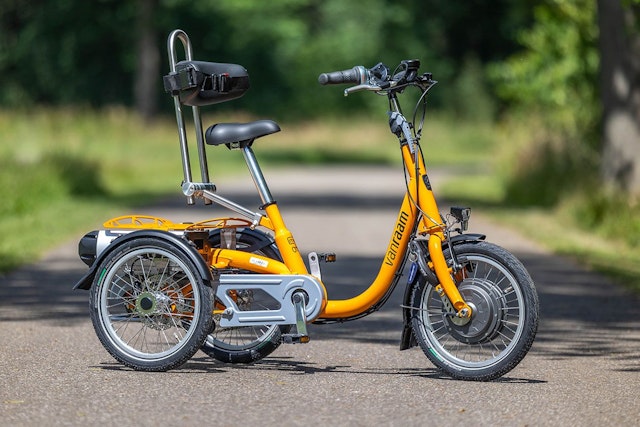 Van Raam Mini tricycle pour enfants yellow orange