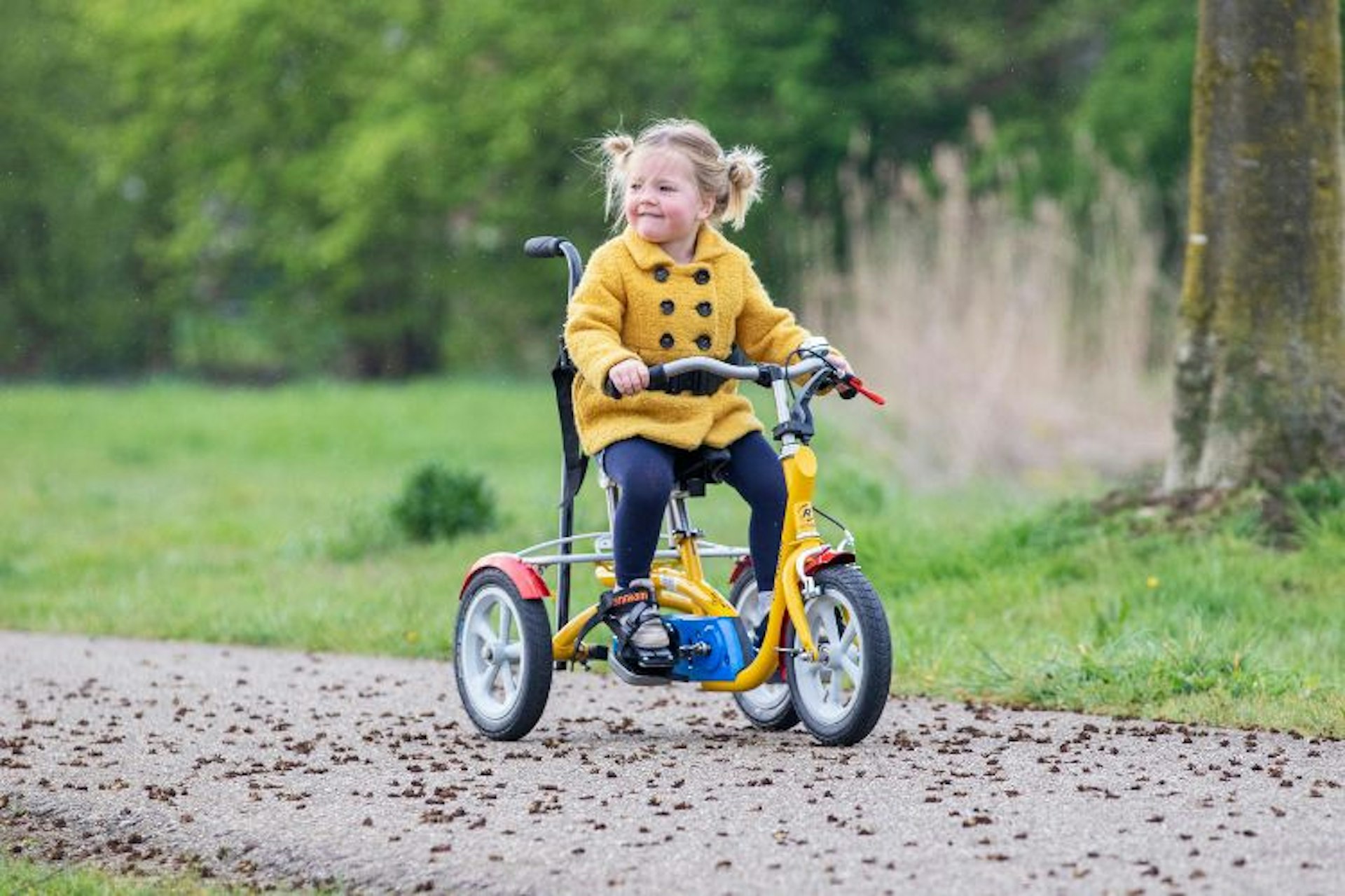 Husky revalidatie fiets van Van Raam