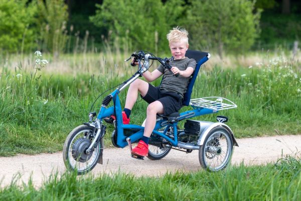 easy rider small tricycle pour enfants personnalisé Van Raam