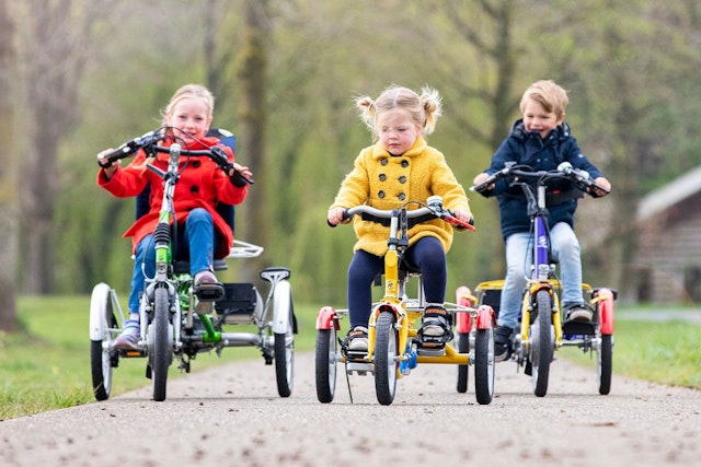Van Raam childrens tricycles Husky, Mini and Easy Rider Small