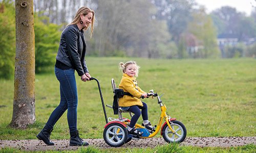 5 einzigartige Fahreigenschaften des Husky-Kinderdreirads Van Raam Schubstange