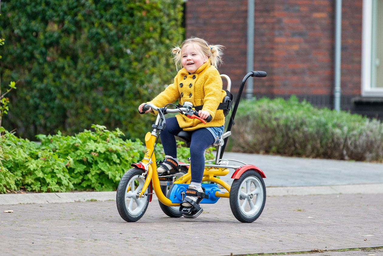 Van Raam Husky tricycle for special needs child