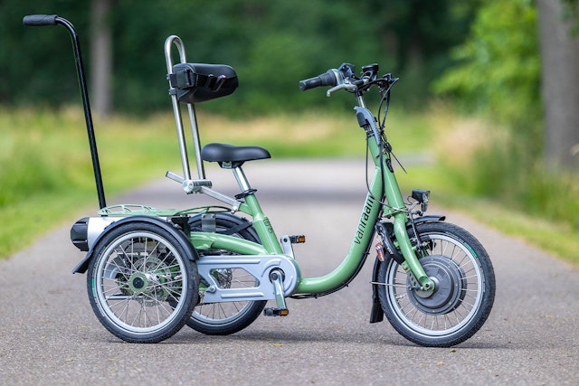 Van Raam Mini tricyle child with special options